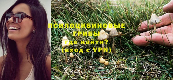 ГАЛЛЮЦИНОГЕННЫЕ ГРИБЫ Белоозёрский