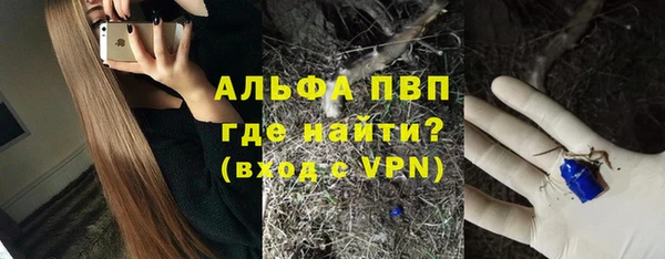 ГАЛЛЮЦИНОГЕННЫЕ ГРИБЫ Белоозёрский