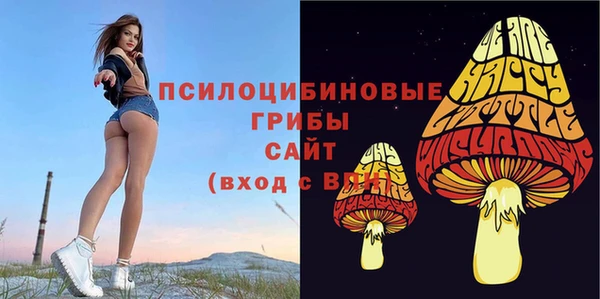 кристаллы Белокуриха
